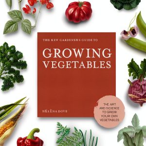Temperate Climate Gardening Frances Lincoln eBook-0