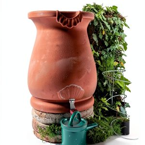 Desert Gardening Techniques by Cool Springs Press-0